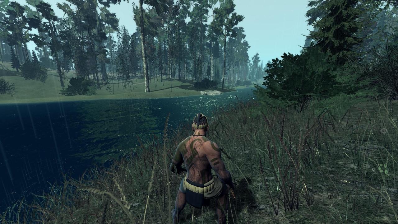 Stomping Ground